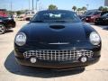 Evening Black - Thunderbird Premium Roadster Photo No. 3