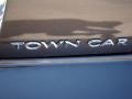 Charcoal Beige Metallic - Town Car Signature Photo No. 34