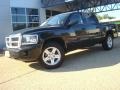Brilliant Black - Dakota Big Horn Crew Cab 4x4 Photo No. 2