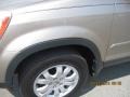 2006 Sahara Sand Metallic Honda CR-V SE 4WD  photo #9