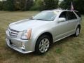 Light Platinum - SRX 4 V6 AWD Photo No. 2