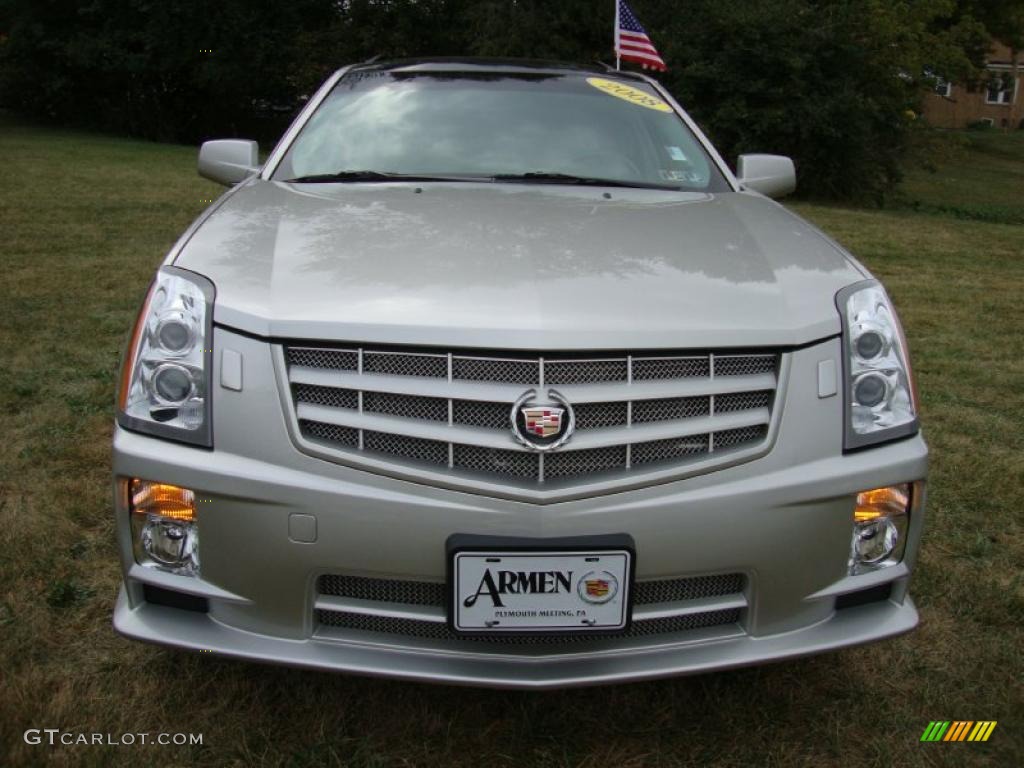 2008 SRX 4 V6 AWD - Light Platinum / Light Gray/Ebony photo #3