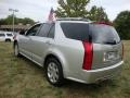 Light Platinum - SRX 4 V6 AWD Photo No. 9