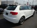 Ibis White - A3 2.0 TDI Photo No. 7