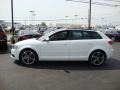 Ibis White - A3 2.0 TDI Photo No. 10