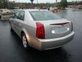 Light Platinum - CTS Sedan Photo No. 5