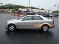 Light Platinum - CTS Sedan Photo No. 6