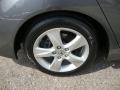 Polished Metal Metallic - TSX Sedan Photo No. 31