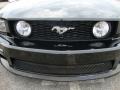 2007 Black Ford Mustang GT Deluxe Coupe  photo #31