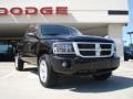 Brilliant Black Crystal Pearl - Dakota Big Horn Crew Cab 4x4 Photo No. 1