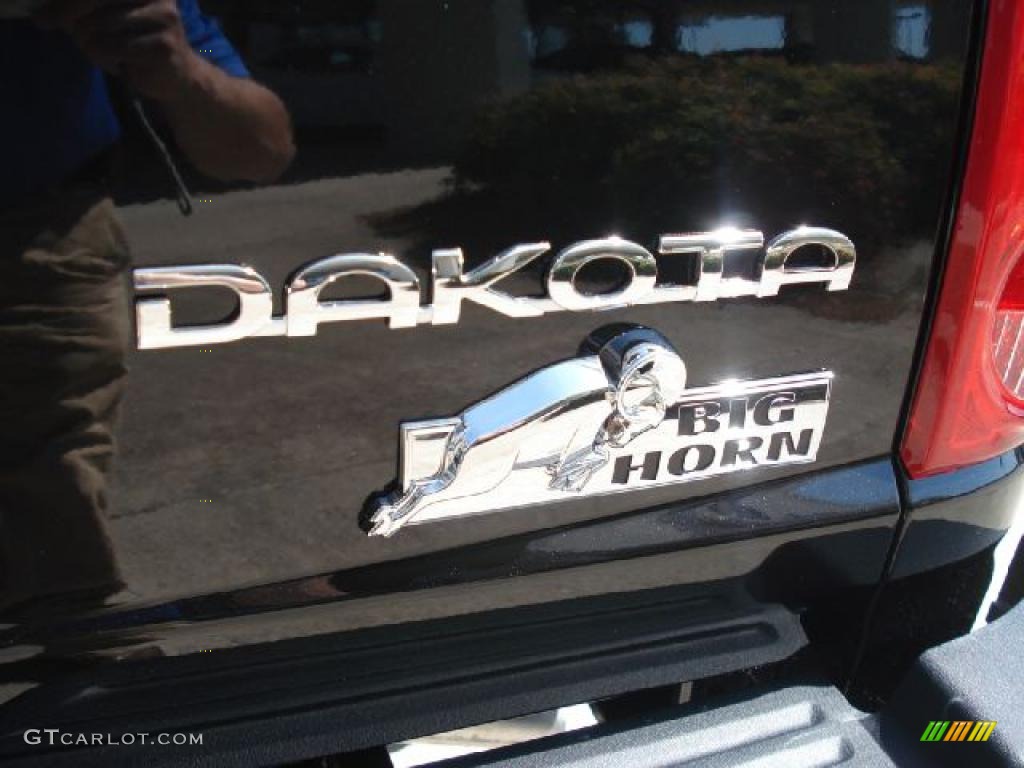 2011 Dakota Big Horn Crew Cab 4x4 - Brilliant Black Crystal Pearl / Dark Slate Gray/Medium Slate Gray photo #14