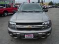 Graystone Metallic - TrailBlazer LS 4x4 Photo No. 8
