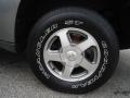 Graystone Metallic - TrailBlazer LS 4x4 Photo No. 11