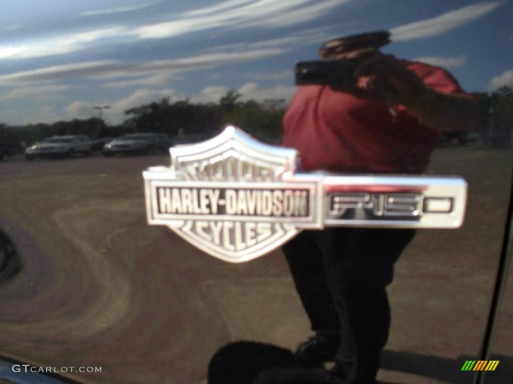 2006 F150 Harley-Davidson SuperCab - Black / Black photo #5