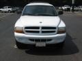 1999 Bright White Dodge Durango SLT 4x4  photo #8