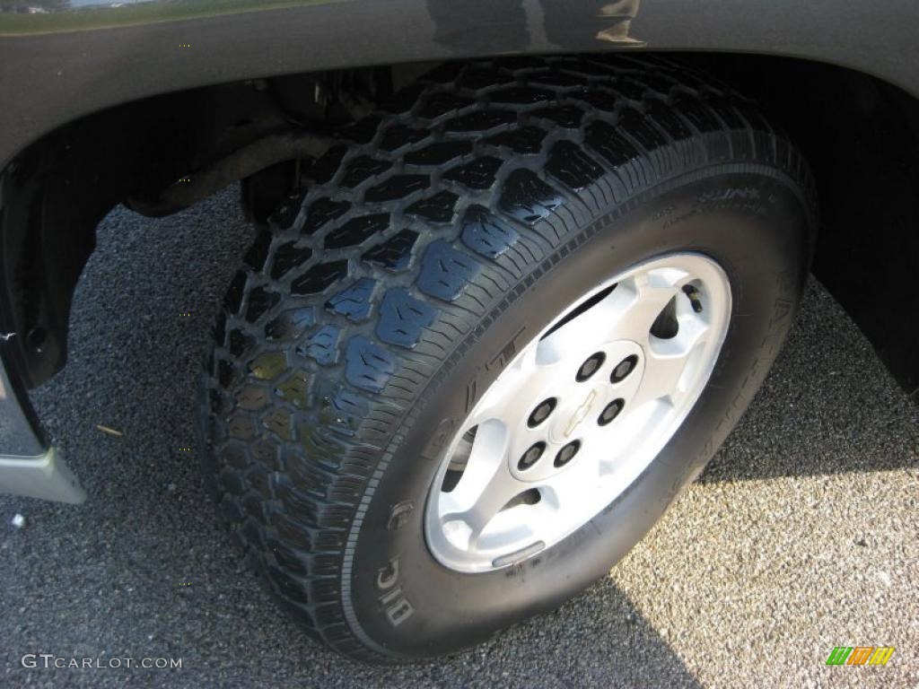 2004 Silverado 1500 LS Regular Cab - Black / Dark Charcoal photo #9