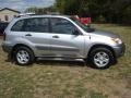 Titanium Metallic - RAV4 4WD Photo No. 2