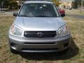 Titanium Metallic - RAV4 4WD Photo No. 3
