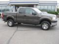 2008 Stone Green Metallic Ford F150 XLT SuperCab 4x4  photo #2