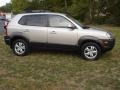 Sahara Silver - Tucson GLS V6 4x4 Photo No. 2