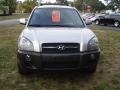 Sahara Silver - Tucson GLS V6 4x4 Photo No. 3