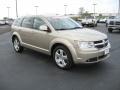 2009 Light Sandstone Metallic Dodge Journey SXT AWD  photo #3