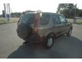 2003 Mojave Mist Metallic Honda CR-V EX 4WD  photo #6