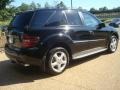 Black - ML 350 4Matic Photo No. 5