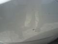 Classic Silver Metallic - Prius Hybrid Photo No. 12