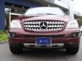 Barolo Red Metallic - ML 350 4Matic Photo No. 3