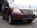 Barolo Red Metallic - ML 350 4Matic Photo No. 4