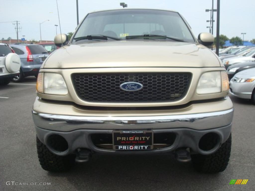 2001 F150 XLT SuperCrew 4x4 - Arizona Beige Metallic / Tan photo #9