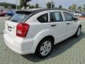 Stone White - Caliber SXT Photo No. 5