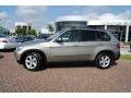 Platinum Bronze Metallic - X5 3.0si Photo No. 2