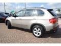 Platinum Bronze Metallic - X5 3.0si Photo No. 3