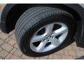 Platinum Bronze Metallic - X5 3.0si Photo No. 18