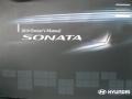 Ebony Black - Sonata GLS Photo No. 30