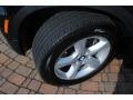 Jet Black - X5 xDrive30i Photo No. 18