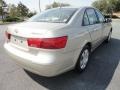Camel Pearl - Sonata GLS Photo No. 5