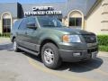 Estate Green Metallic 2005 Ford Expedition XLT