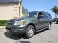 Estate Green Metallic - Expedition XLT Photo No. 3