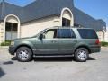 Estate Green Metallic - Expedition XLT Photo No. 4