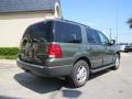 Estate Green Metallic - Expedition XLT Photo No. 6