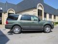 Estate Green Metallic - Expedition XLT Photo No. 7