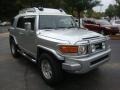 Titanium Metallic - FJ Cruiser 4WD Photo No. 6