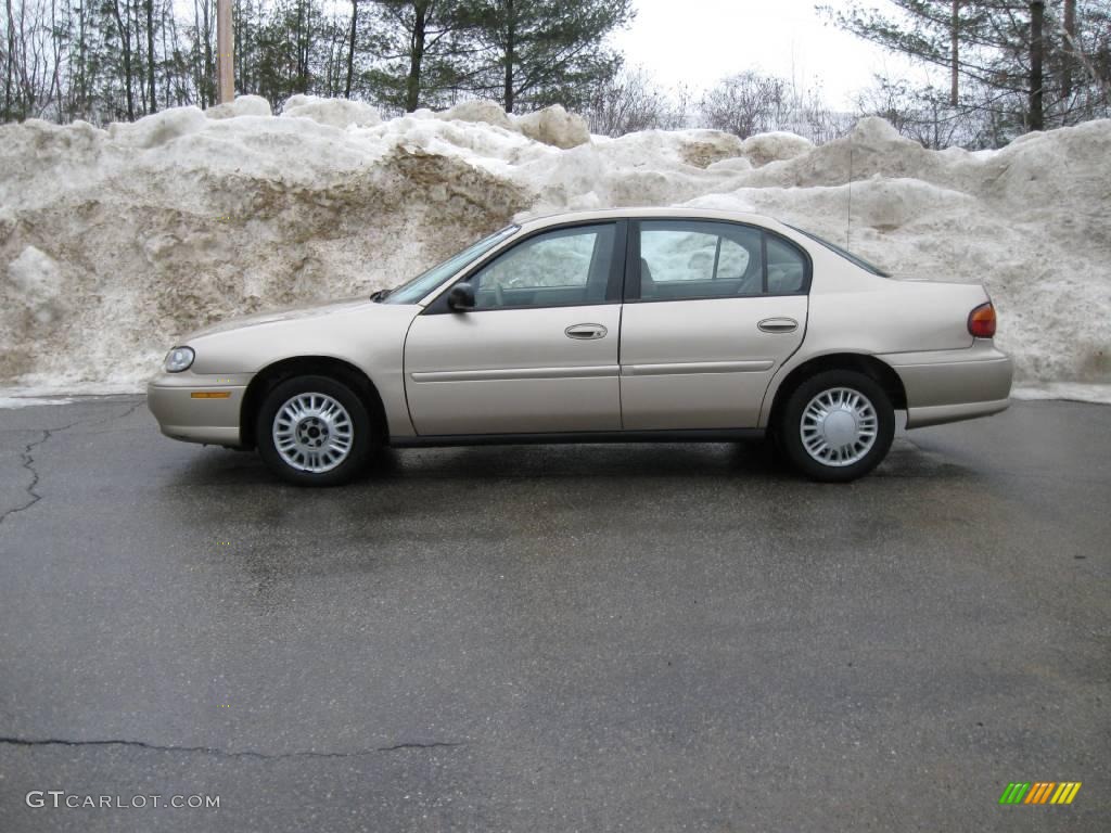 2004 Classic  - Light Driftwood Metallic / Beige photo #5