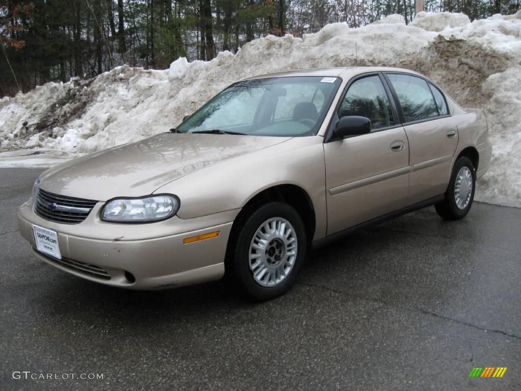 2004 Classic  - Light Driftwood Metallic / Beige photo #7