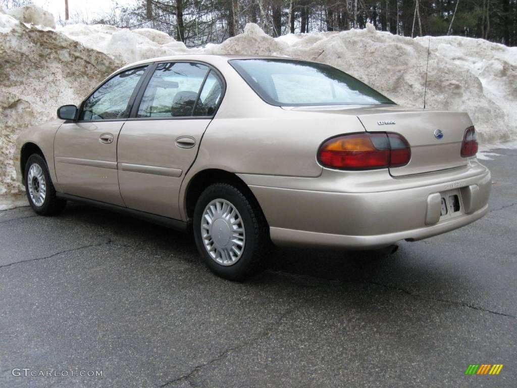 2004 Classic  - Light Driftwood Metallic / Beige photo #9