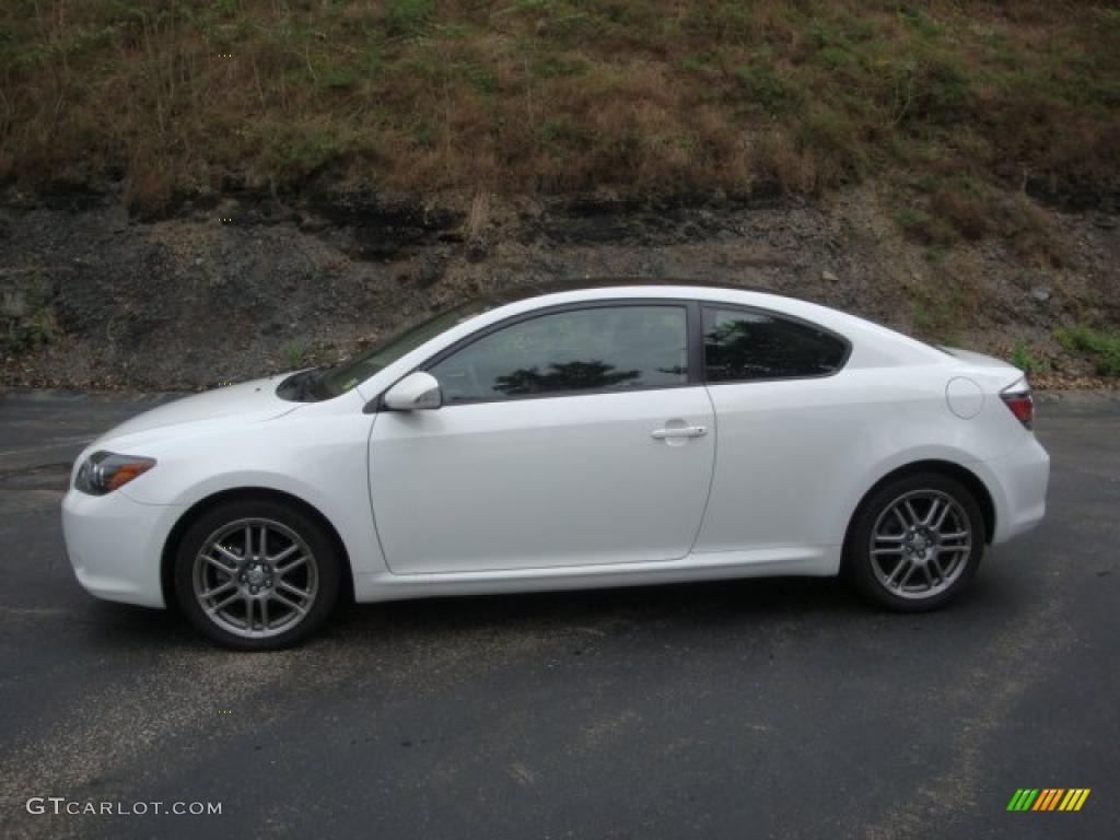 2009 tC  - Super White / Dark Charcoal photo #1