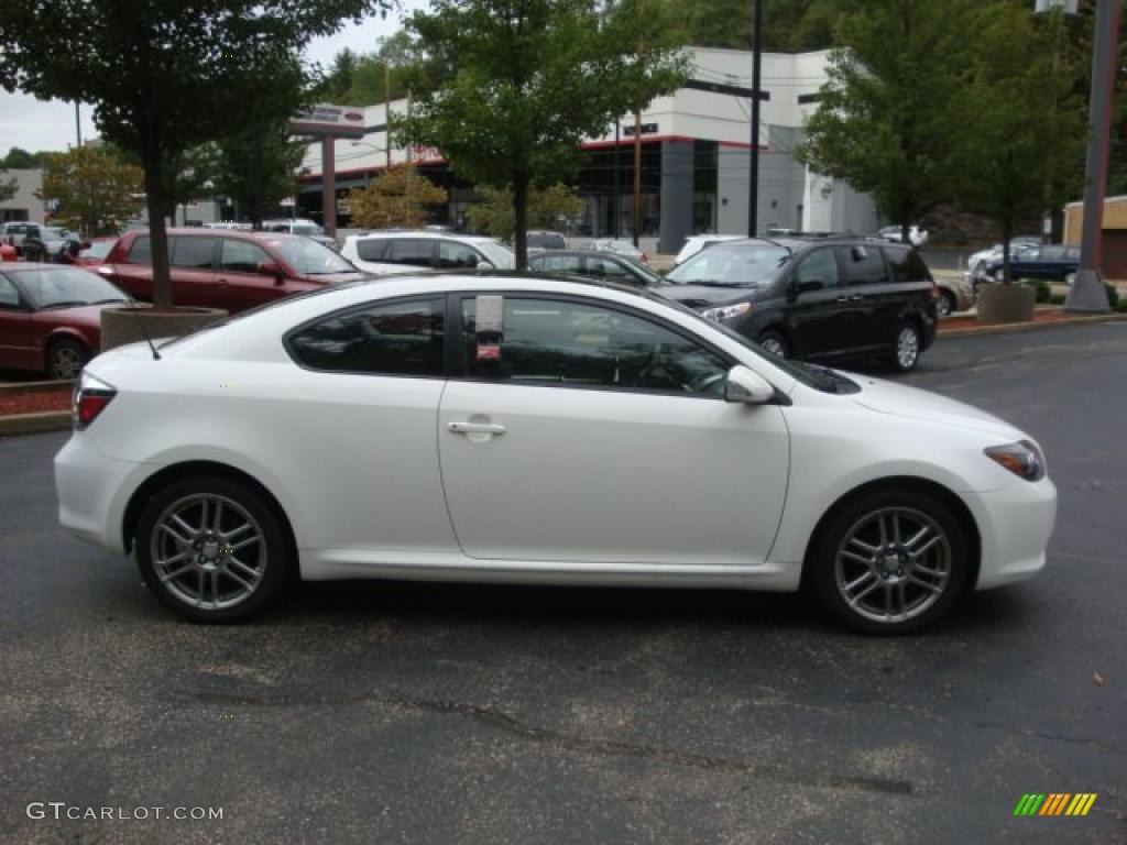 2009 tC  - Super White / Dark Charcoal photo #5